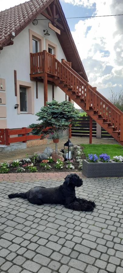 Liwa Garden Krzywa 11 Apartment Екстериор снимка