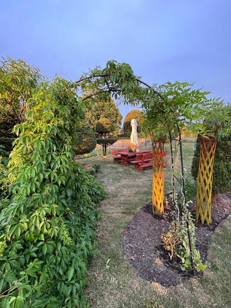 Liwa Garden Krzywa 11 Apartment Екстериор снимка