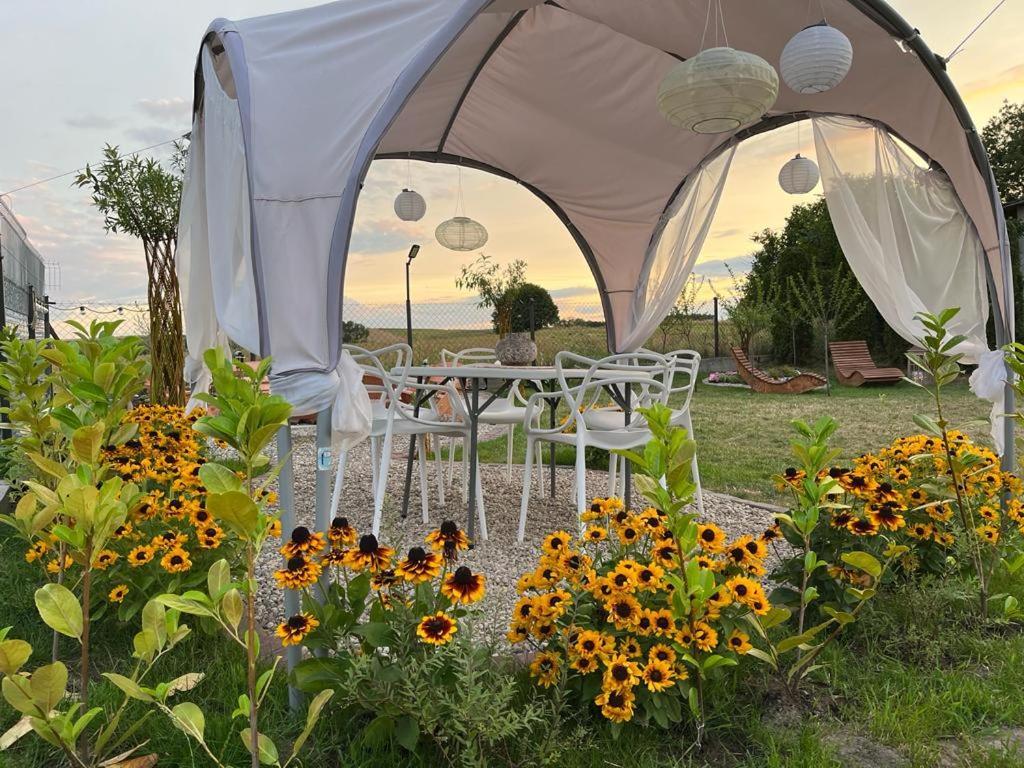 Liwa Garden Krzywa 11 Apartment Екстериор снимка